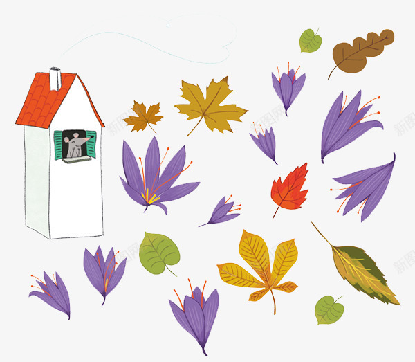 手绘枫叶花朵背景png免抠素材_88icon https://88icon.com 创意插画设计 卡通贺卡封面 手绘插画