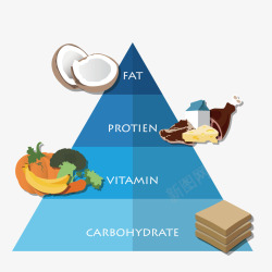 营养表营养金字塔矢量图高清图片