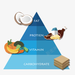 营养金字塔矢量图素材
