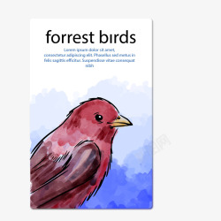 大自然卡片手绘鸟类动物卡片高清图片