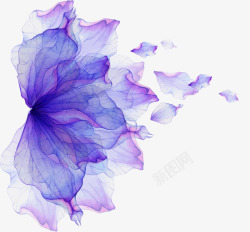紫色梦幻鲜花素材