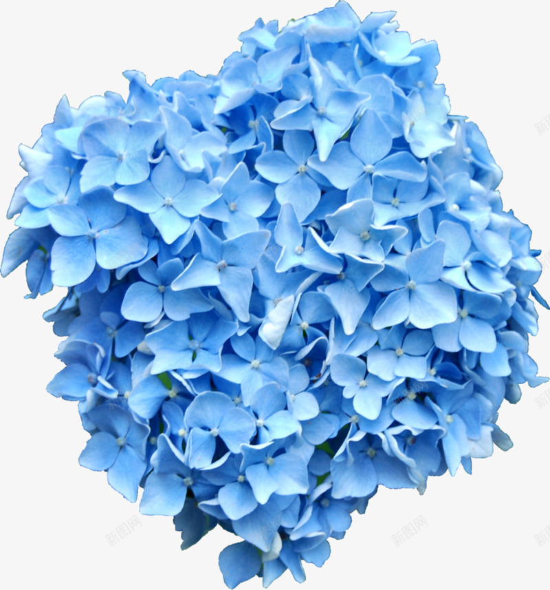 蓝色花团png免抠素材_88icon https://88icon.com 梦幻 清新 纸团 蓝色花团 装饰物