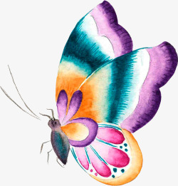 卡通手绘水彩蝴蝶素材