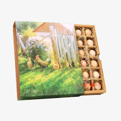 鸡蛋盒子素材分格鸡蛋包装盒高清图片