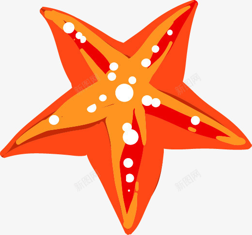 白色圆点卡通橘色海星png免抠素材_88icon https://88icon.com 五角星形状 卡通 大海 沙滩 海星 海生贝壳 美丽的