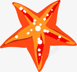 海星形状白色圆点卡通橘色海星高清图片