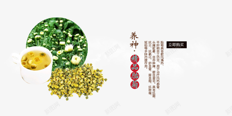 菊花茶psd免抠素材_88icon https://88icon.com 产品实物 养生 养生花茶 花茶 茶 茶叶包装设计