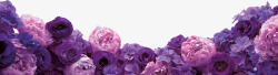 棕紫色粉色花束浪漫素材