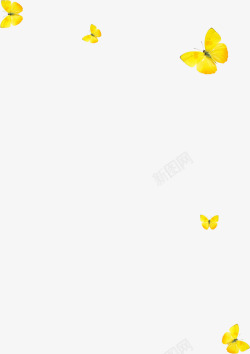 黄色蝴蝶青春少年素材