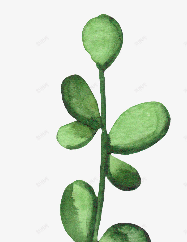 可爱小清新装饰海报装饰树枝png免抠素材_88icon https://88icon.com PPT模板设计 卡通装饰 封面设计 小清新插画 广告设计 文艺风装饰图案 海报设计