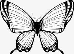 简单线条绘制的蝴蝶矢量图素材