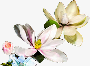 摄影手绘花朵效果图插画png免抠素材_88icon https://88icon.com 插画 摄影 效果图 花朵 设计