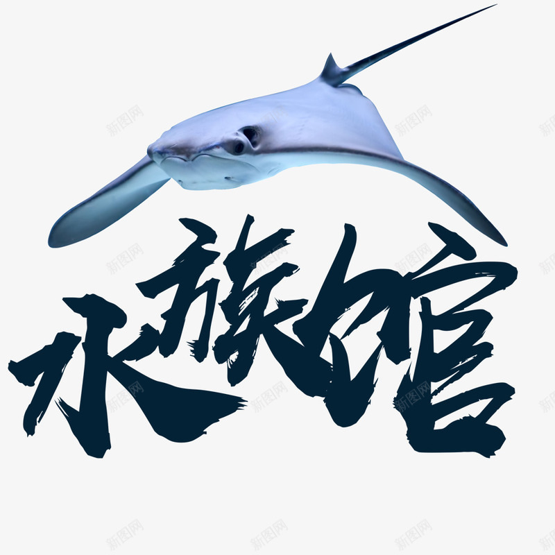 海洋水族馆海报海底世界psd免抠素材_88icon https://88icon.com 动物 梦幻 水 水族馆 海底世界 海报 海洋 炫彩 热带鱼 珊瑚 蓝色 鱼