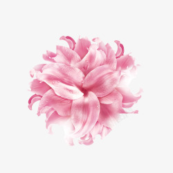 粉红色好看的花朵效果图素材