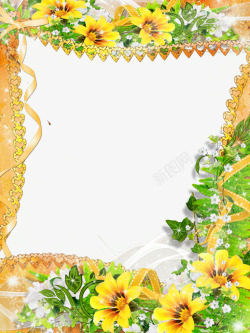 金黄色的花朵边框花朵相框高清图片