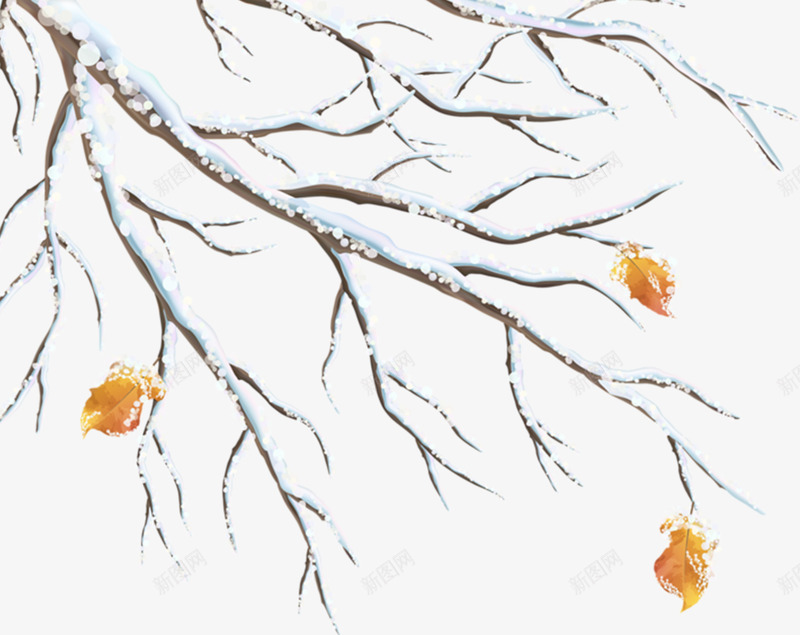 冬季树枝上的黄叶png免抠素材_88icon https://88icon.com 免抠图 冬季 效果图 树叶 树枝 装饰图 装饰画
