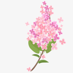 手绘浪漫粉丁香植物花卉素材