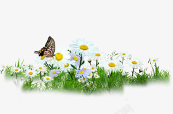 合成创意飞舞的蝴蝶草丛花卉素材