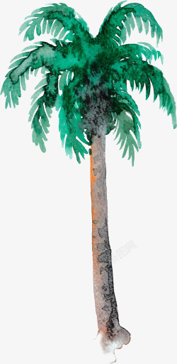 绿色手绘热带树木素材