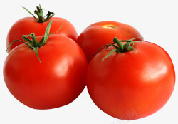 红色西红柿蔬菜装饰素材