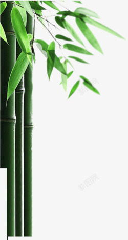 绿色清爽竹叶中式素材