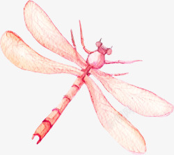 粉色手绘蜻蜓装饰素材