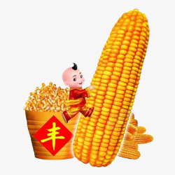 过年小娃娃中国喜庆过年娃丰收玉米高清图片