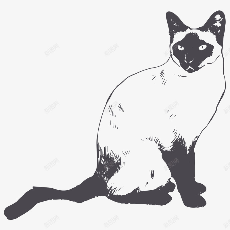 手绘猫咪动物png免抠素材_88icon https://88icon.com 动物 卡通动物 手绘动物 效果图 猫咪 猫咪装饰