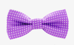 紫色高贵布满圆点的西装领结实物素材