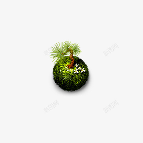 树木3D效果png免抠素材_88icon https://88icon.com 松树 树苗 盆栽 绿色植物
