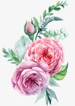 路两朵手绘的粉色花朵素材