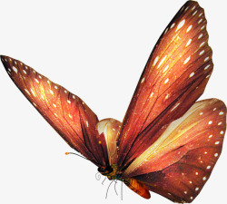 彩绘棕色蝴蝶动物素材