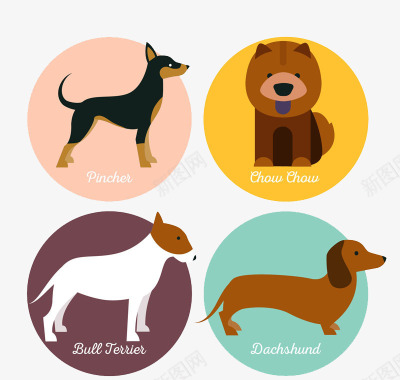 彩绘宠物宠物狗标签图标图标