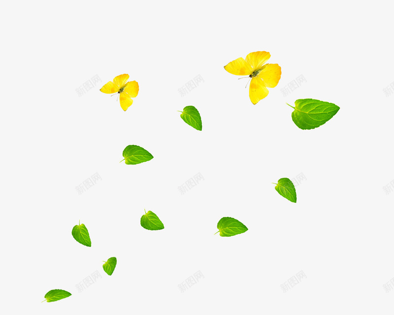 风吹绿叶蝴蝶png免抠素材_88icon https://88icon.com 叶子 树叶 清新 简约 绿叶 绿色 蝴蝶 透明抠图 风吹绿叶