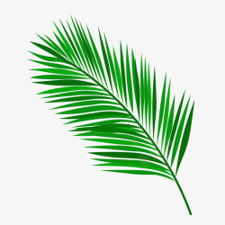 手绘绿色棕榈树叶矢量图素材