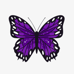 美丽紫色蝴蝶素材
