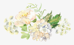 手绘浪漫白色花朵素材