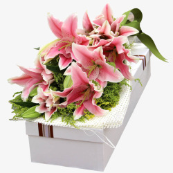 百合花花束礼盒素材