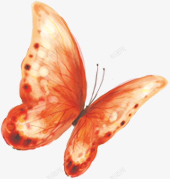 黄色唯美梦幻蝴蝶png免抠素材_88icon https://88icon.com 梦幻 蝴蝶 设计 黄色