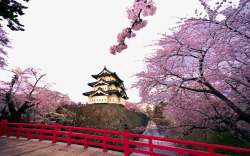 日本大阪城市风景素材