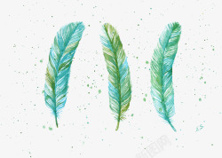 蓝绿色羽毛手绘蓝绿色羽毛高清图片
