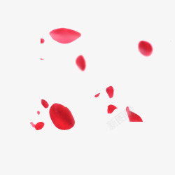 红色花瓣飘落浪漫清晰素材
