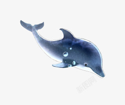 梦幻蓝色海豚素材