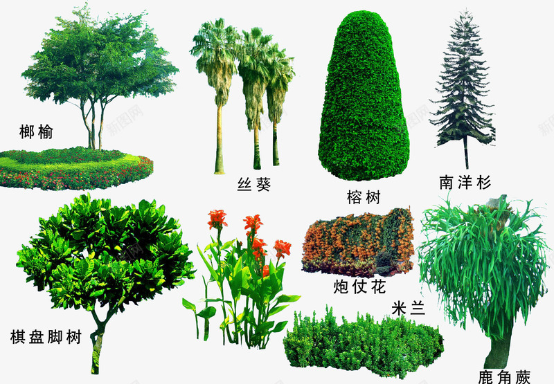 绿色植物png免抠素材_88icon https://88icon.com 3D贴图 效果图元素 盆景 绿化 绿化带 绿植 绿色植物