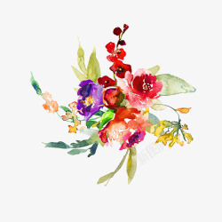 手绘水彩植物花卉装饰素材
