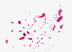 梦幻红色花瓣素材