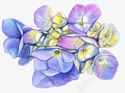 手绘蓝色绣球花朵花瓣素材