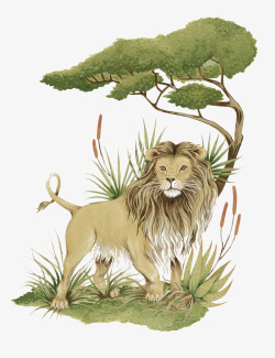 手绘精致狮子图案素材