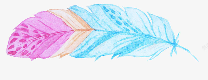 彩色羽毛装饰png免抠素材_88icon https://88icon.com png图形 png装饰 彩色 手绘 羽毛 装饰