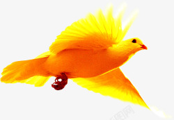 金色鸟飞翔效果图素材